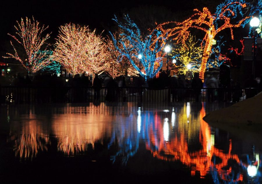 A view of South Pond illuminated by Zoo lights.
