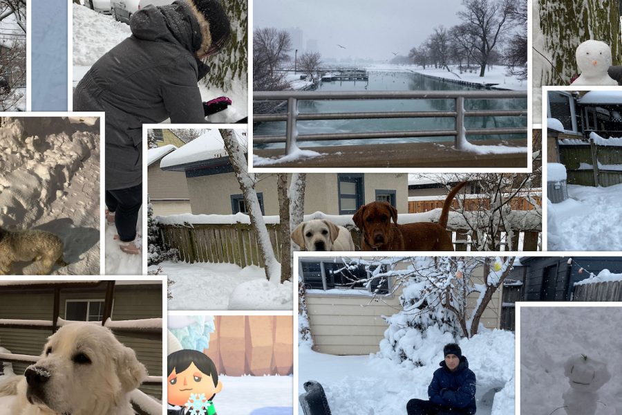 Snowfall Showcase collage.