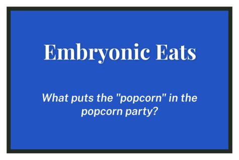 Embryonic Eats