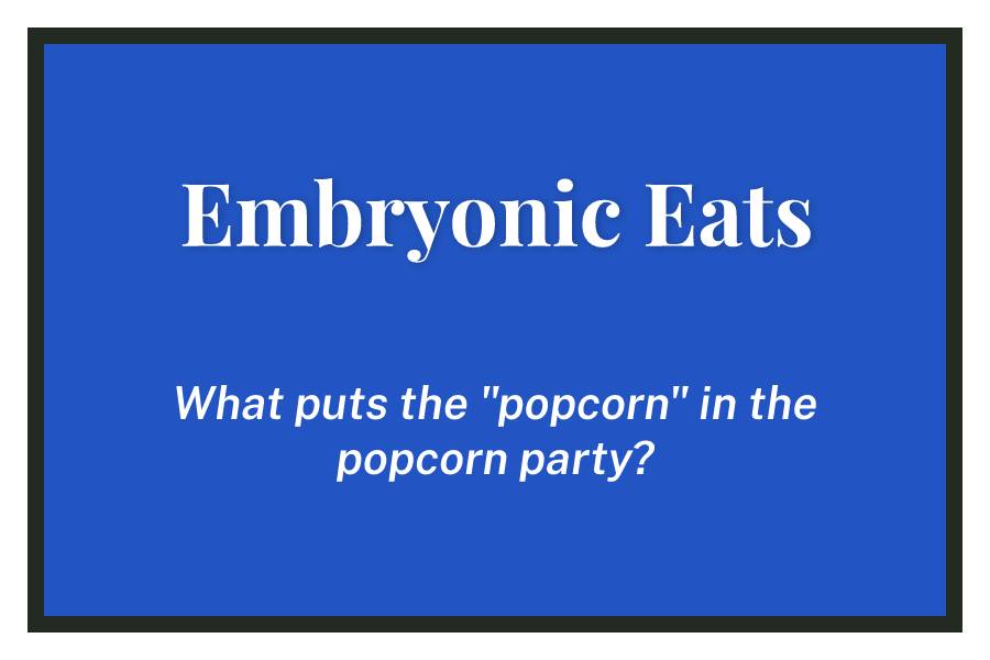 Embryonic+Eats