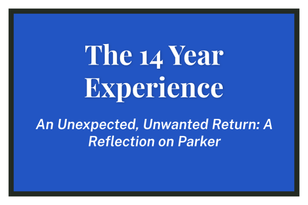 The 14 Year Experience
