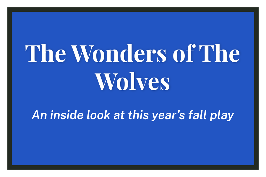 Wonders of The Wolves