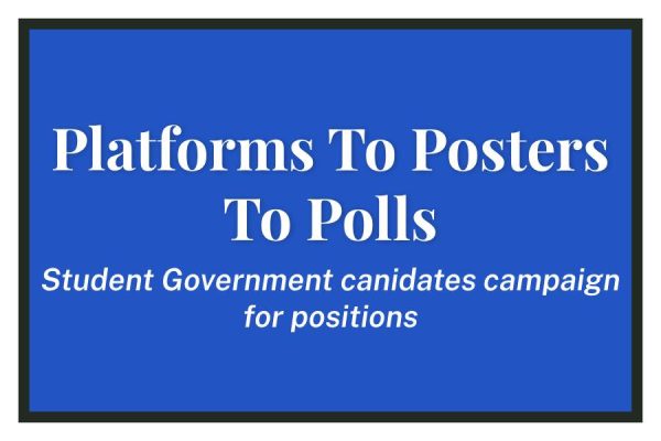 Platforms To Posters To Polls