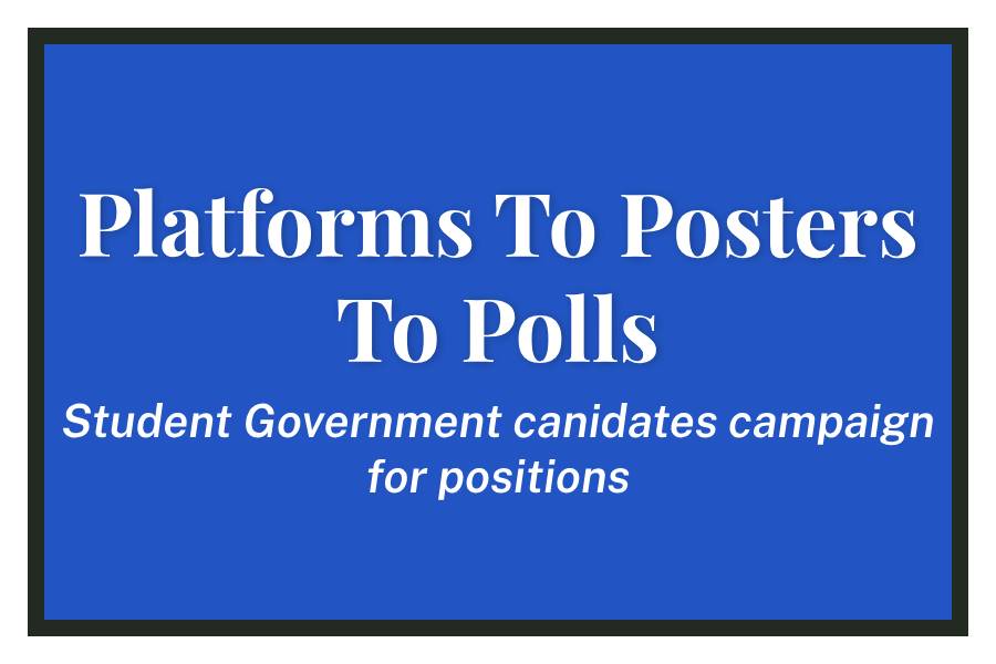 Platforms To Posters To Polls